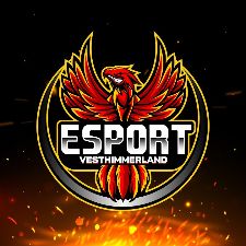 Esport Vesthimmerland