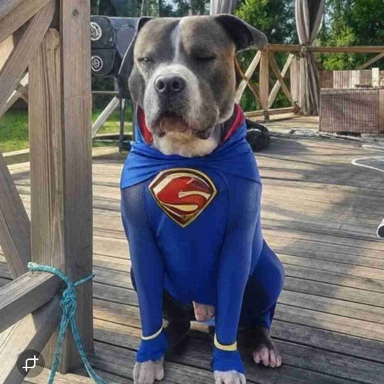 Nyinflyttad i kommunen 