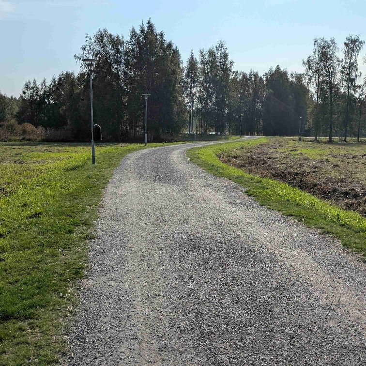 Nyinflyttad söker promenadsällskap!