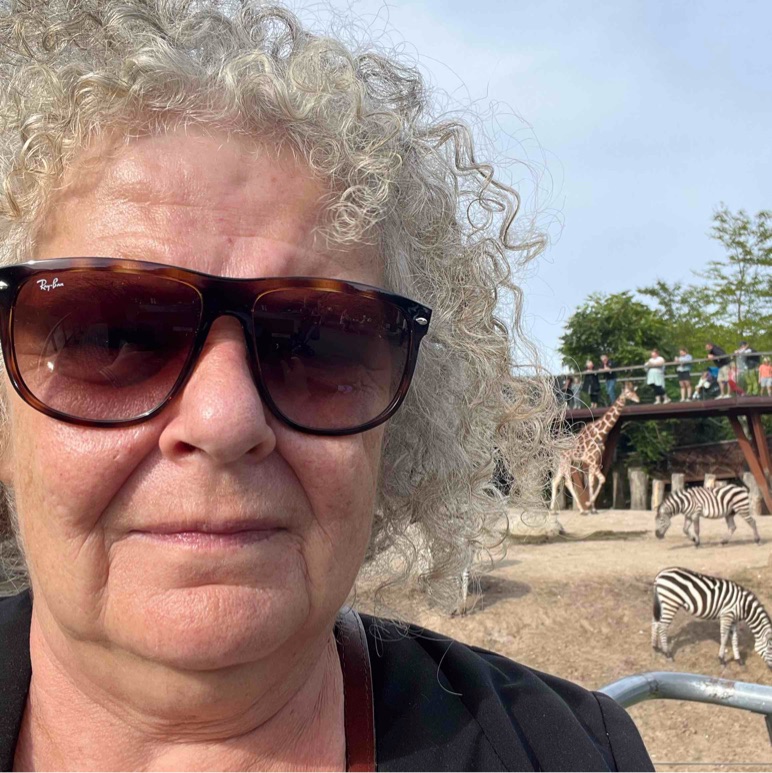 Samtaler der beriger og udvikler