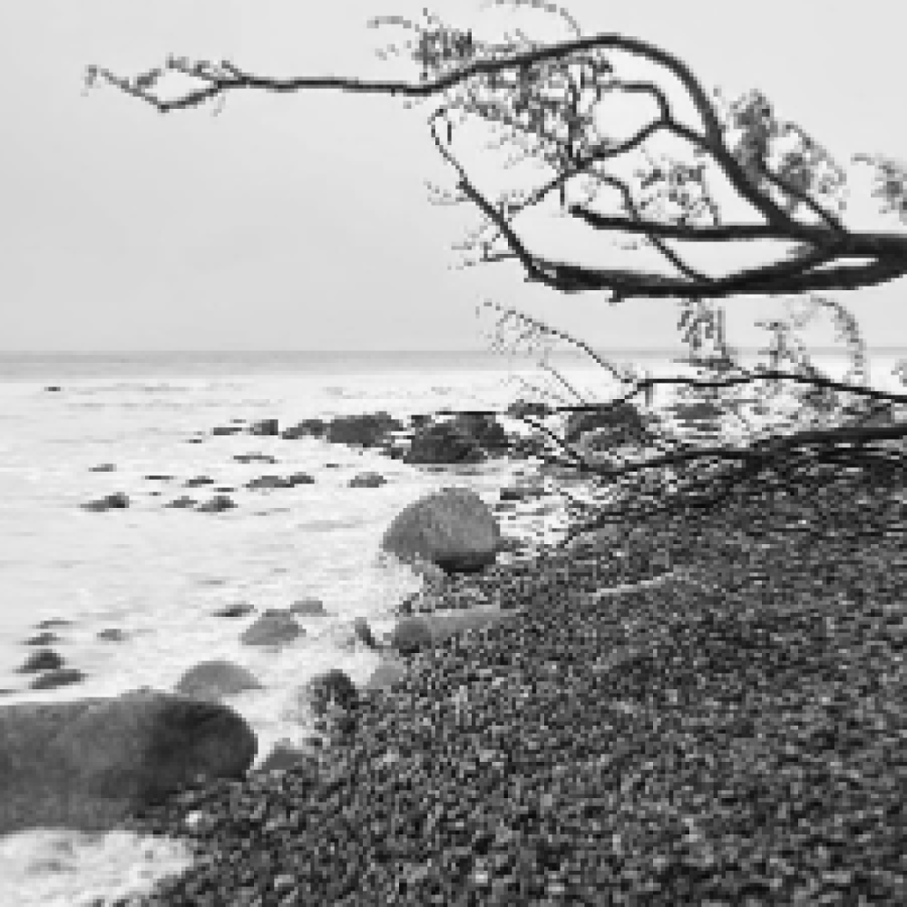 Kreativ hygge og fællesskab