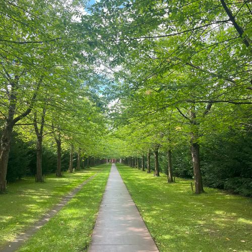  Nyinflyttad söker nya tjejkompisar