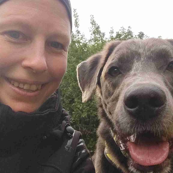 Hundvänlig vän sökes