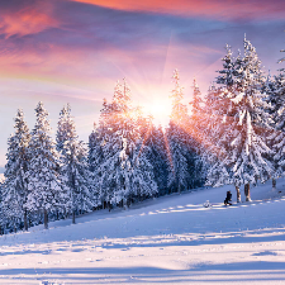 lad os starte med at tale sammen