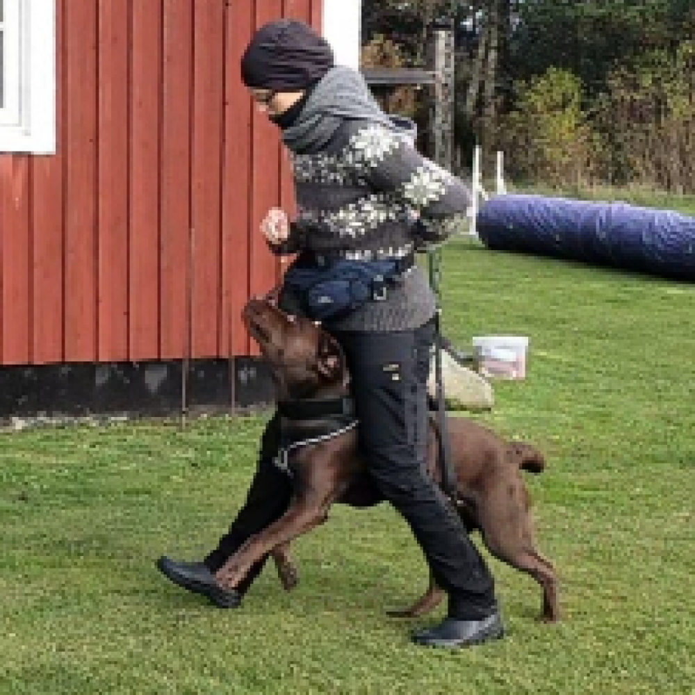 Elsker naturen, musik, dyr og mad.