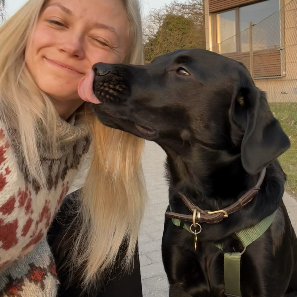 Crazy doglady søger venner