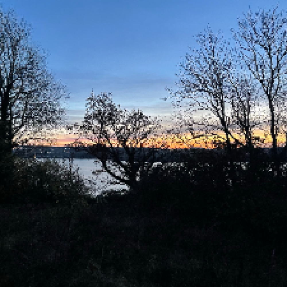 Venner M/K til chat og gåture