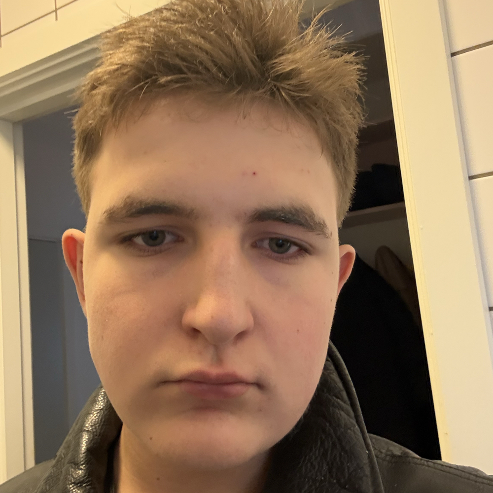 Søger venner i Aalborg 15-16 år