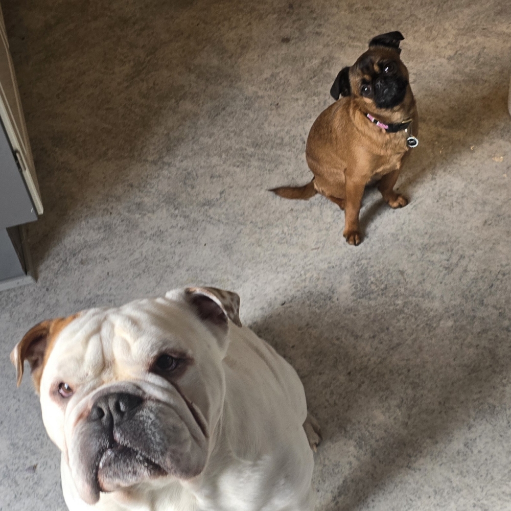 Kom til god mad og festligt nytår