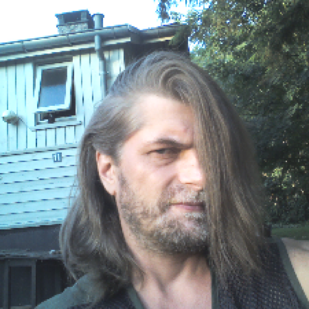 Søger hyggeven(ner) til Nytårsaften