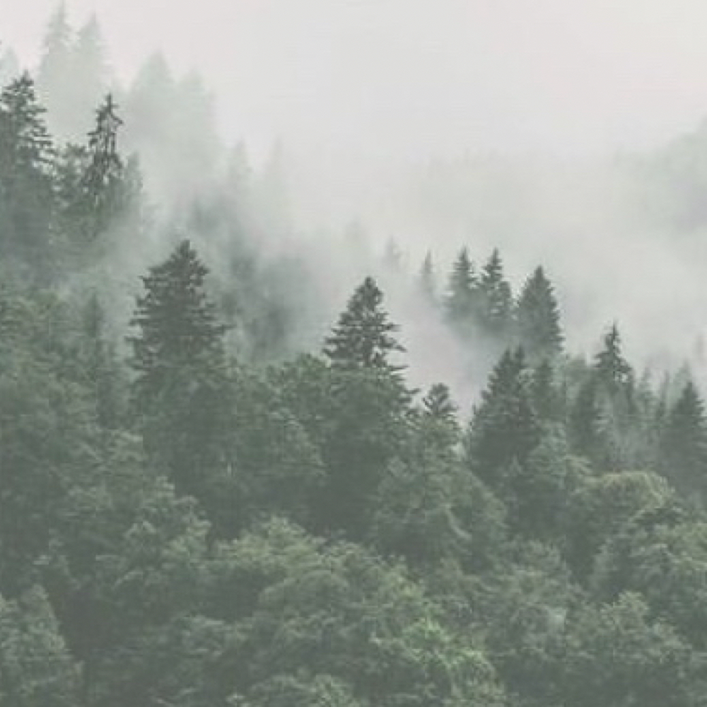 Gå- eller biograftur 🌿