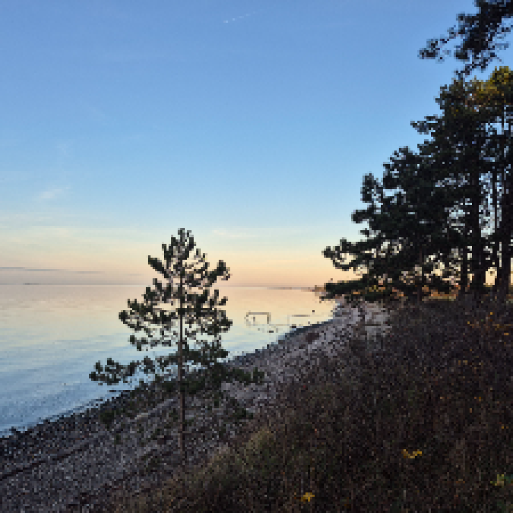 Lad os springe ud i det nye år🤗