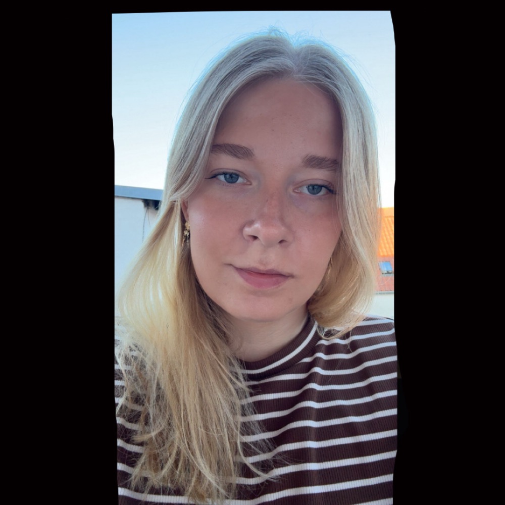 Søger bekendtskaber