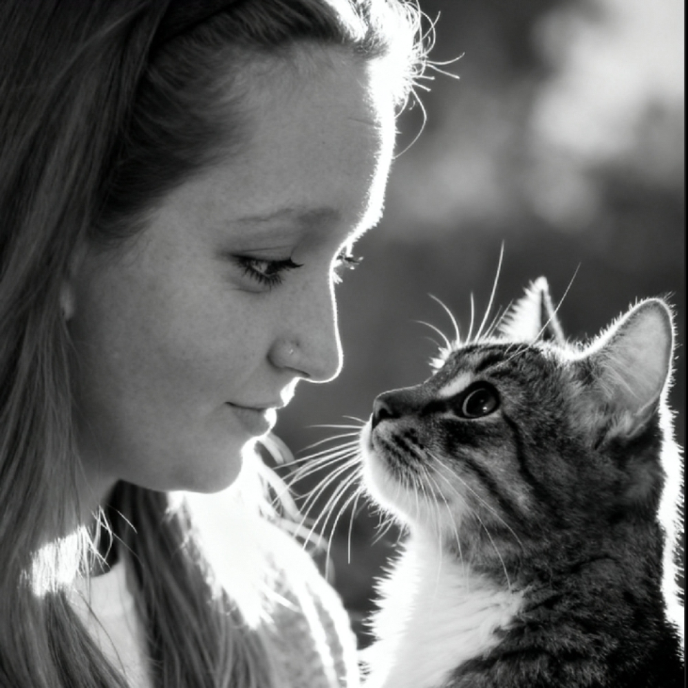 Søger gode venner/veninder 