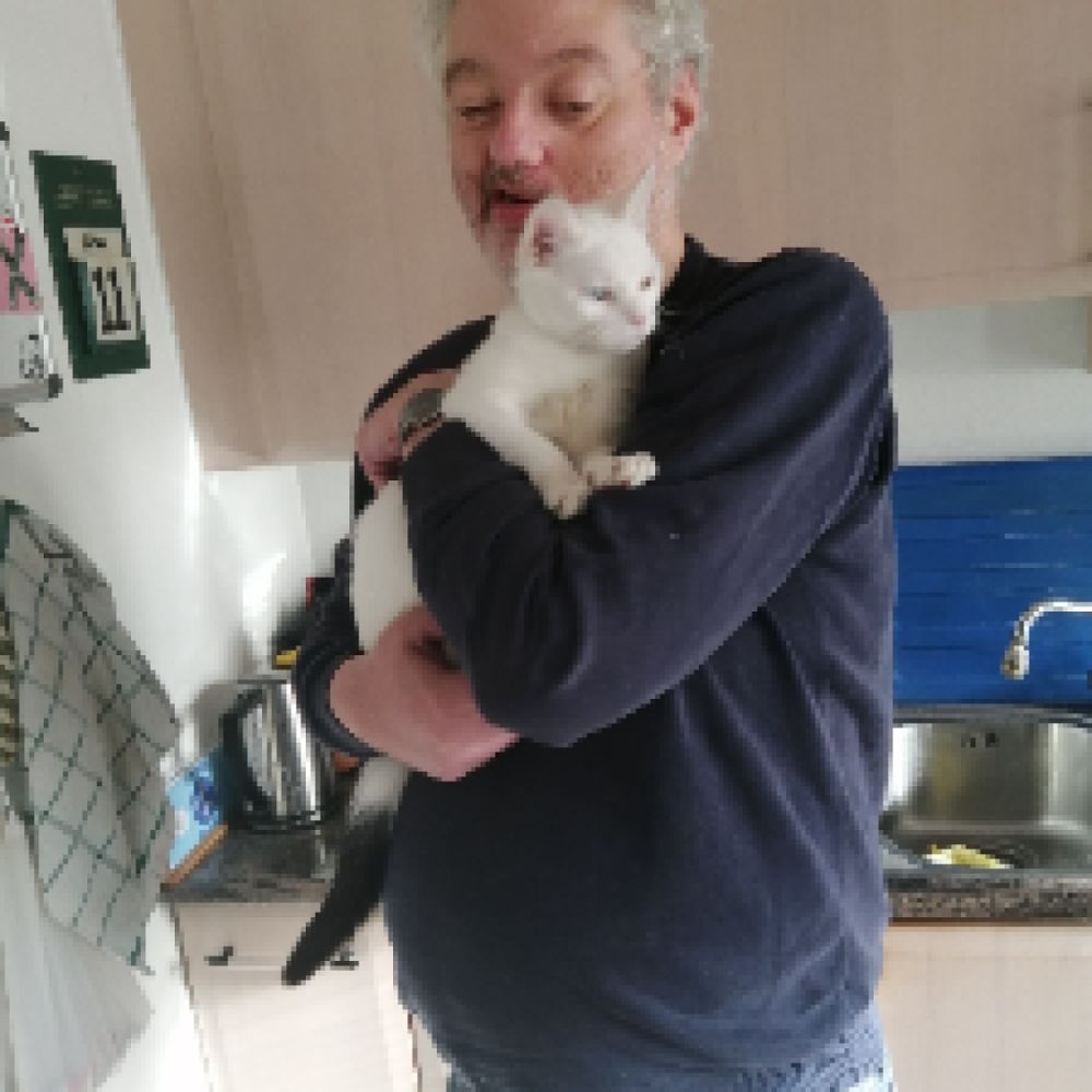 Søger et godt venskab 