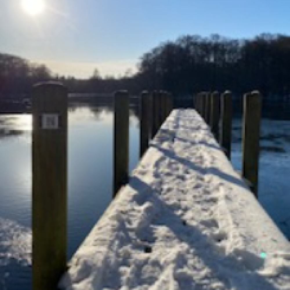 Singlemødre søges til netværk