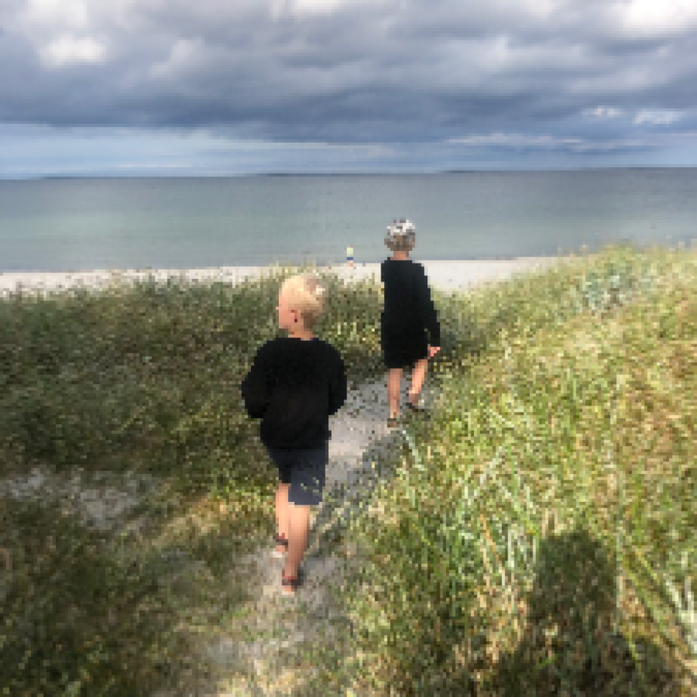 Reservebedste søges