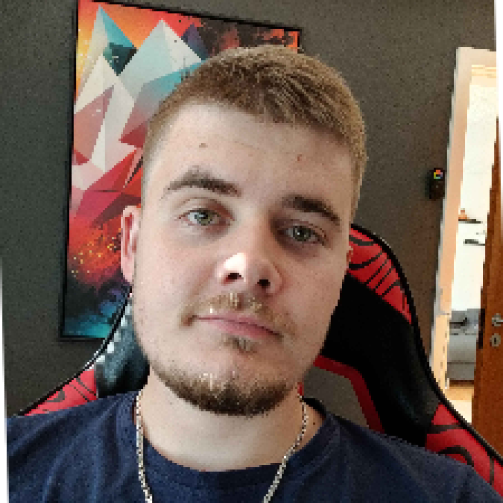 Søger en/flere at game med.