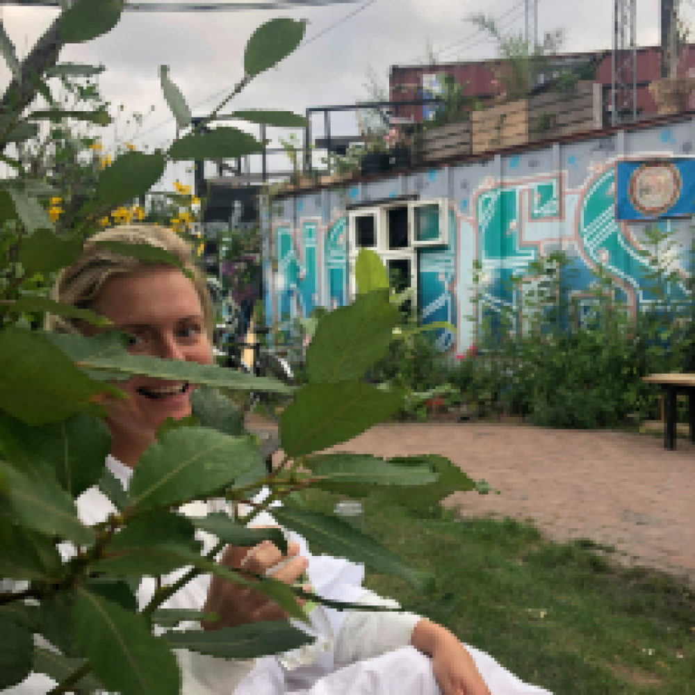 Nogen at skrive lidt med 