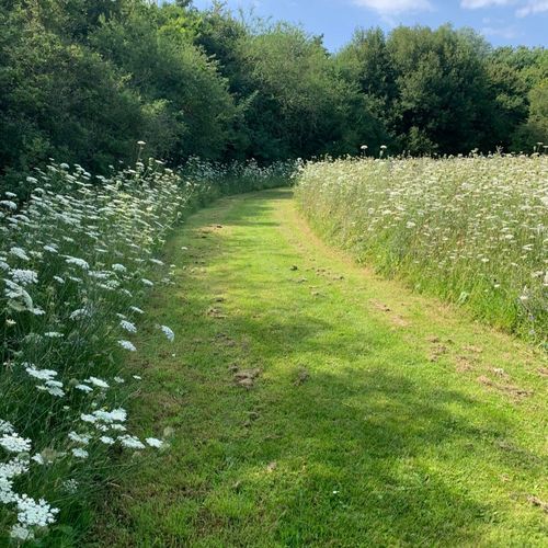 Savner gode samtaler, dans og nye v