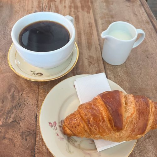 Venner og veninder søges