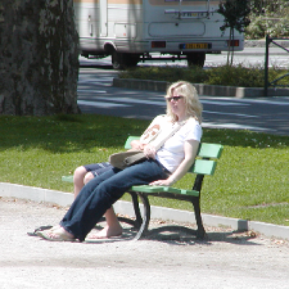 Venner og veninder søges