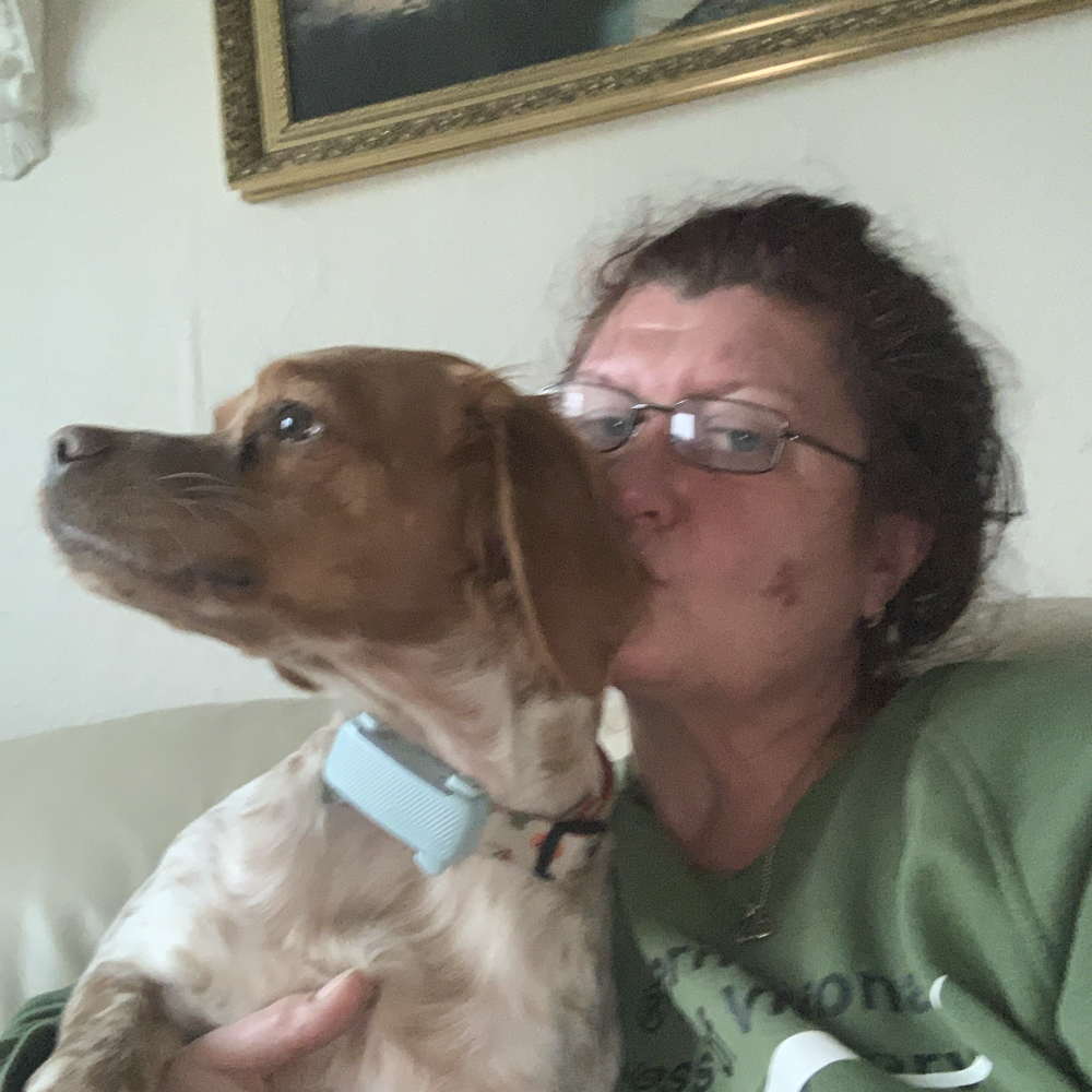 Rigtig gode venner/veninder