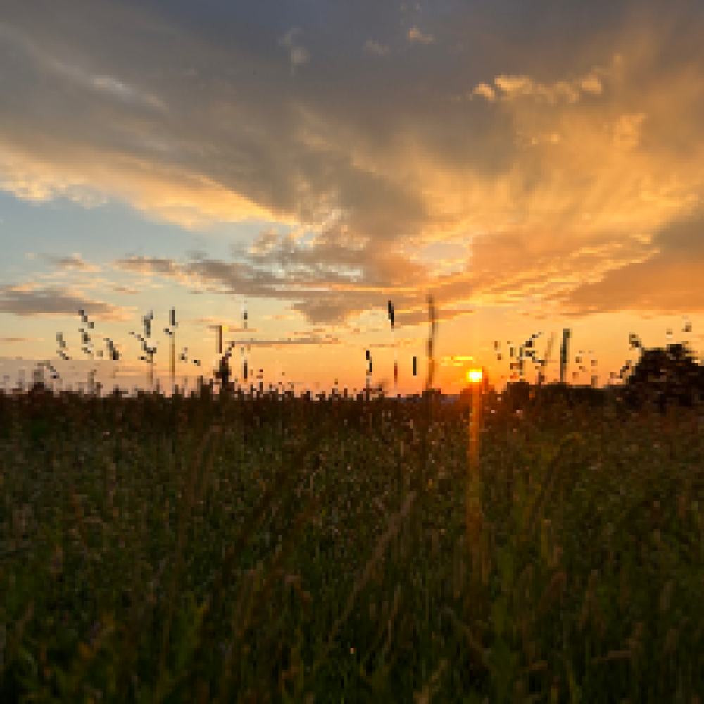 Familie søger reservebedsteforælder