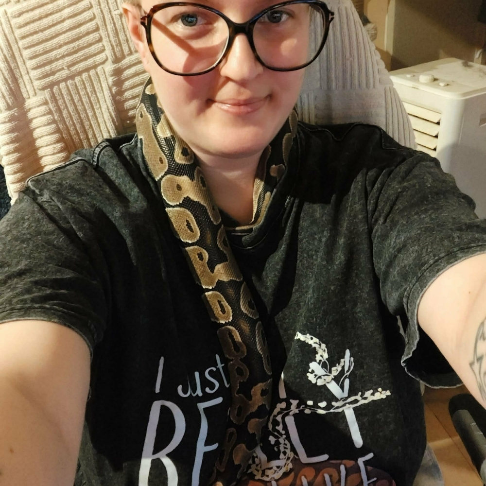 Veninder og venner søges 