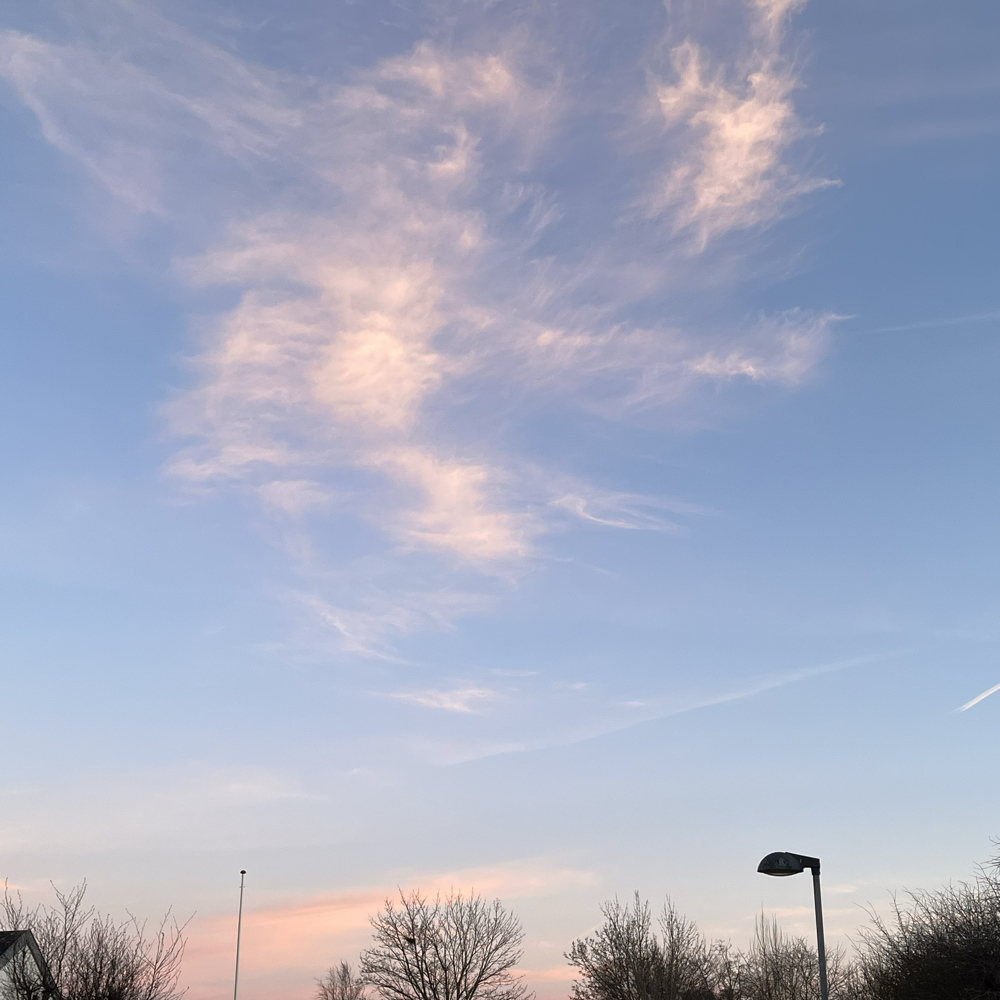 Søger ligesindede veninder