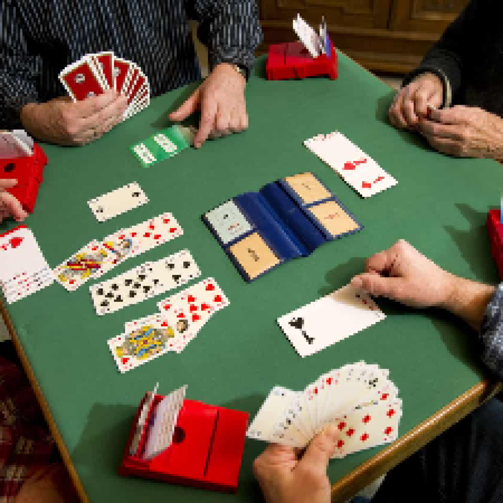 Vil du spille hyggebridge med os?