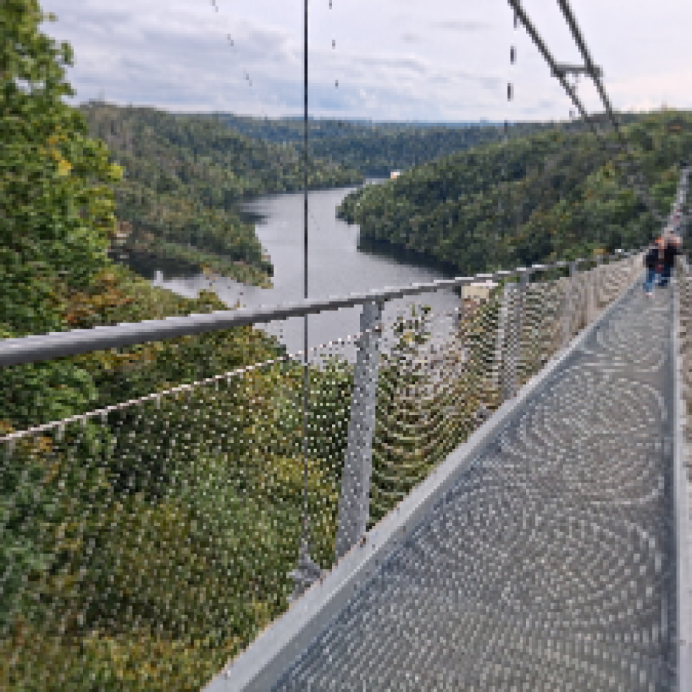 Venner, søges til gode oplevelse
