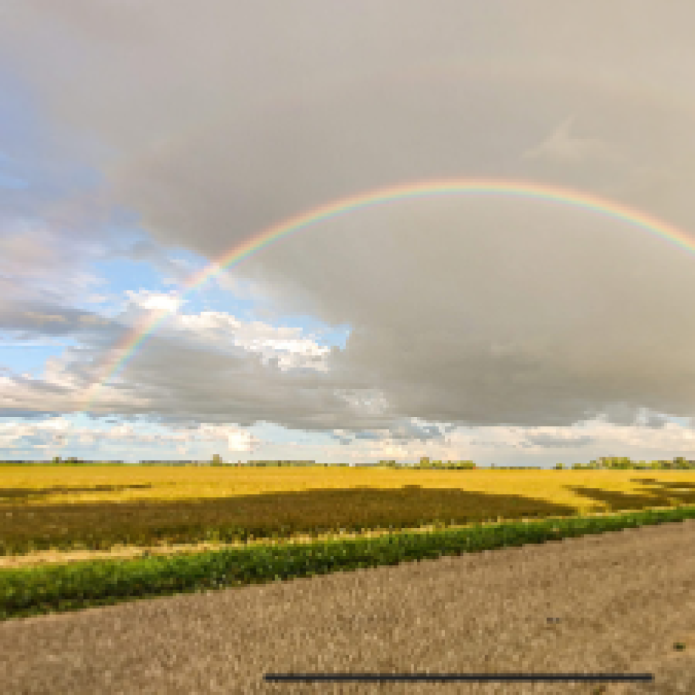 Netværk/venskab. Ikke forhold! 
