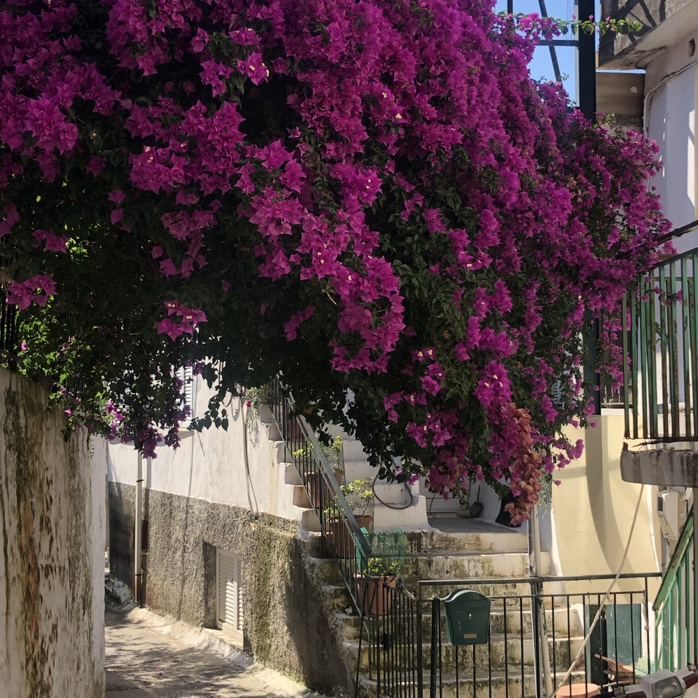 Venlig penneveninde søges 🌸