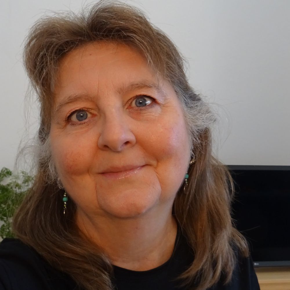 Venner til hverdag og fest
