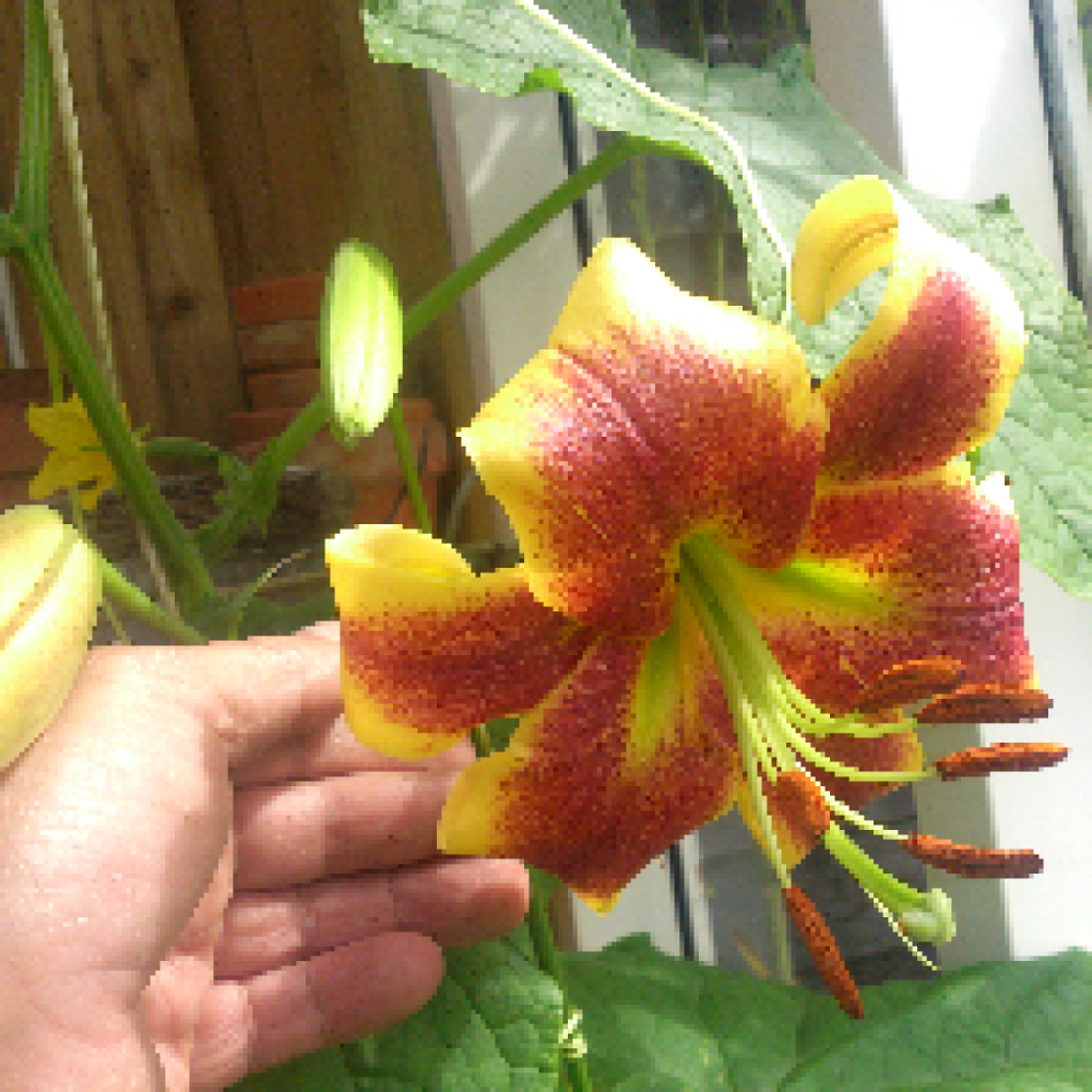 76 år og stadig er der liv