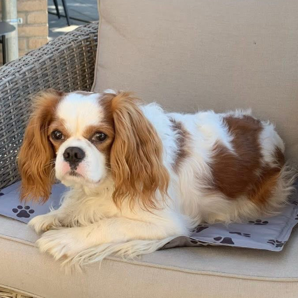 Søger nye venner og bekendtskaber 