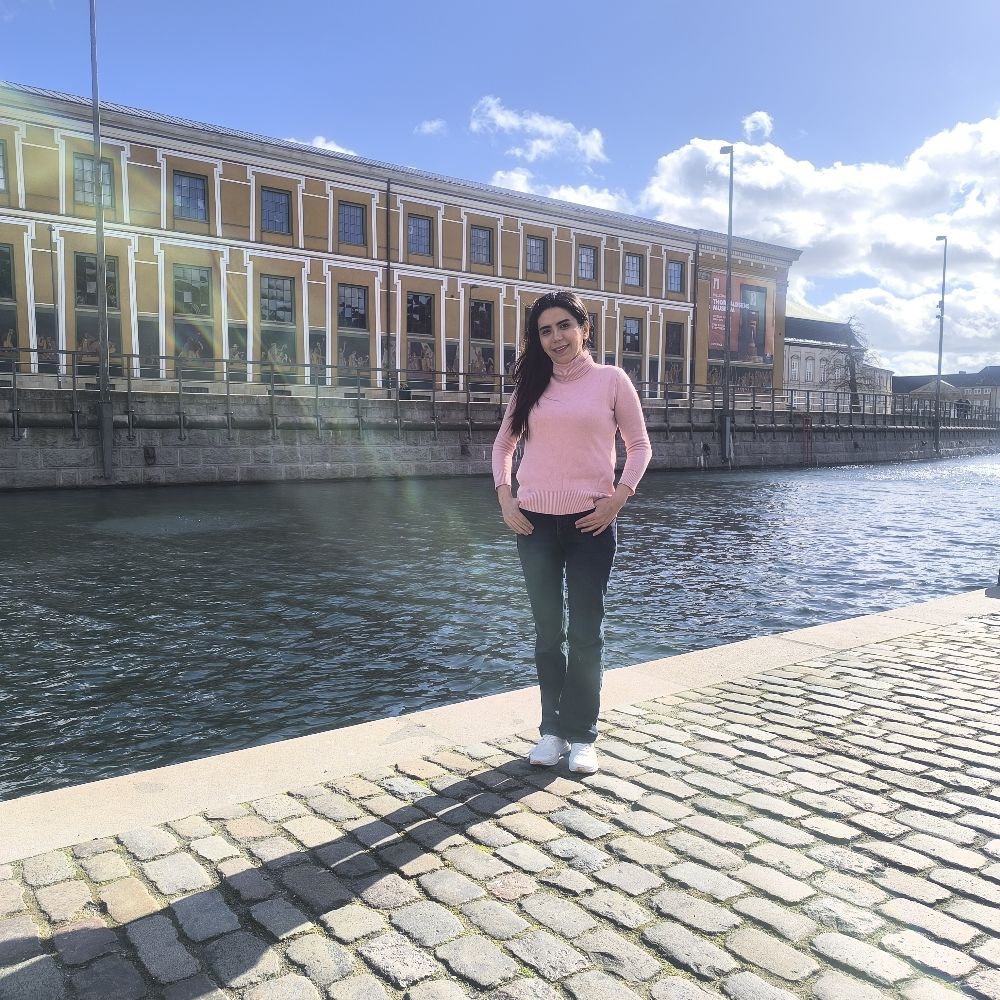 Ny i København – søger danske venne