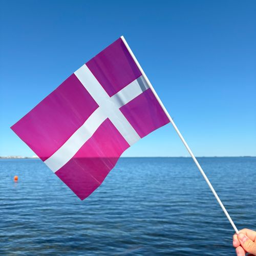 Frivillige lære 