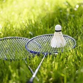 Alenefar med støvet ketsjer