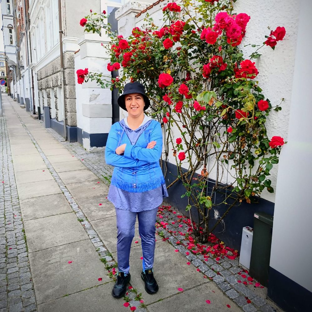 Søger en dansker der taler persisk 