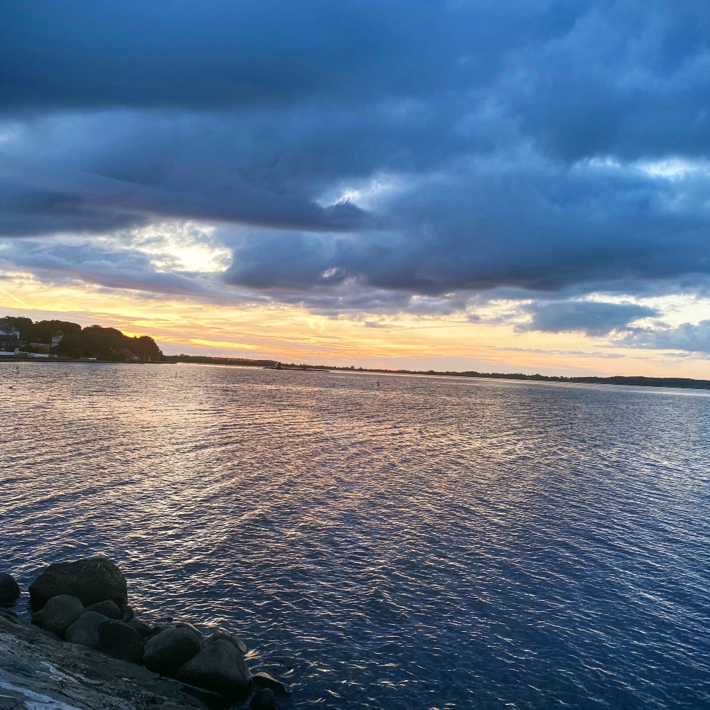Søger reserve bedsteforældre/moster