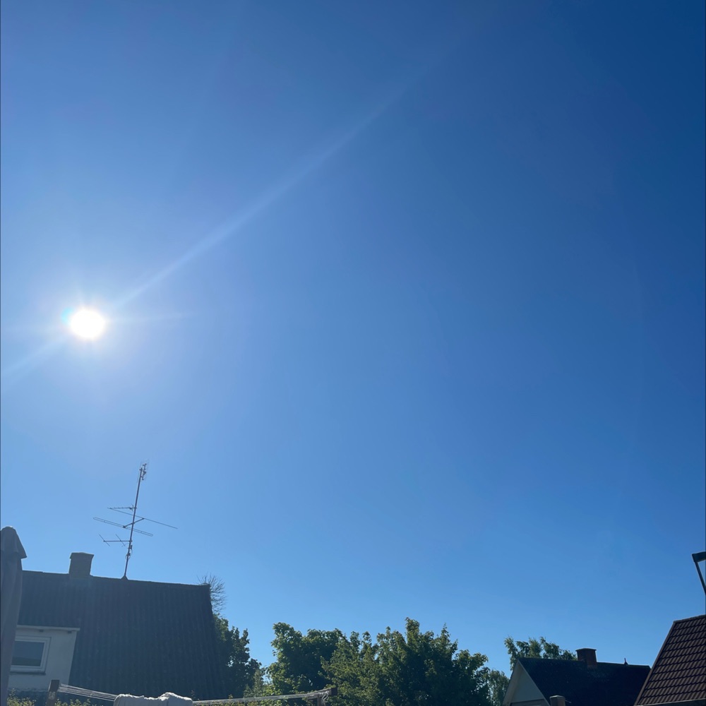 Venskaber søges 🤗