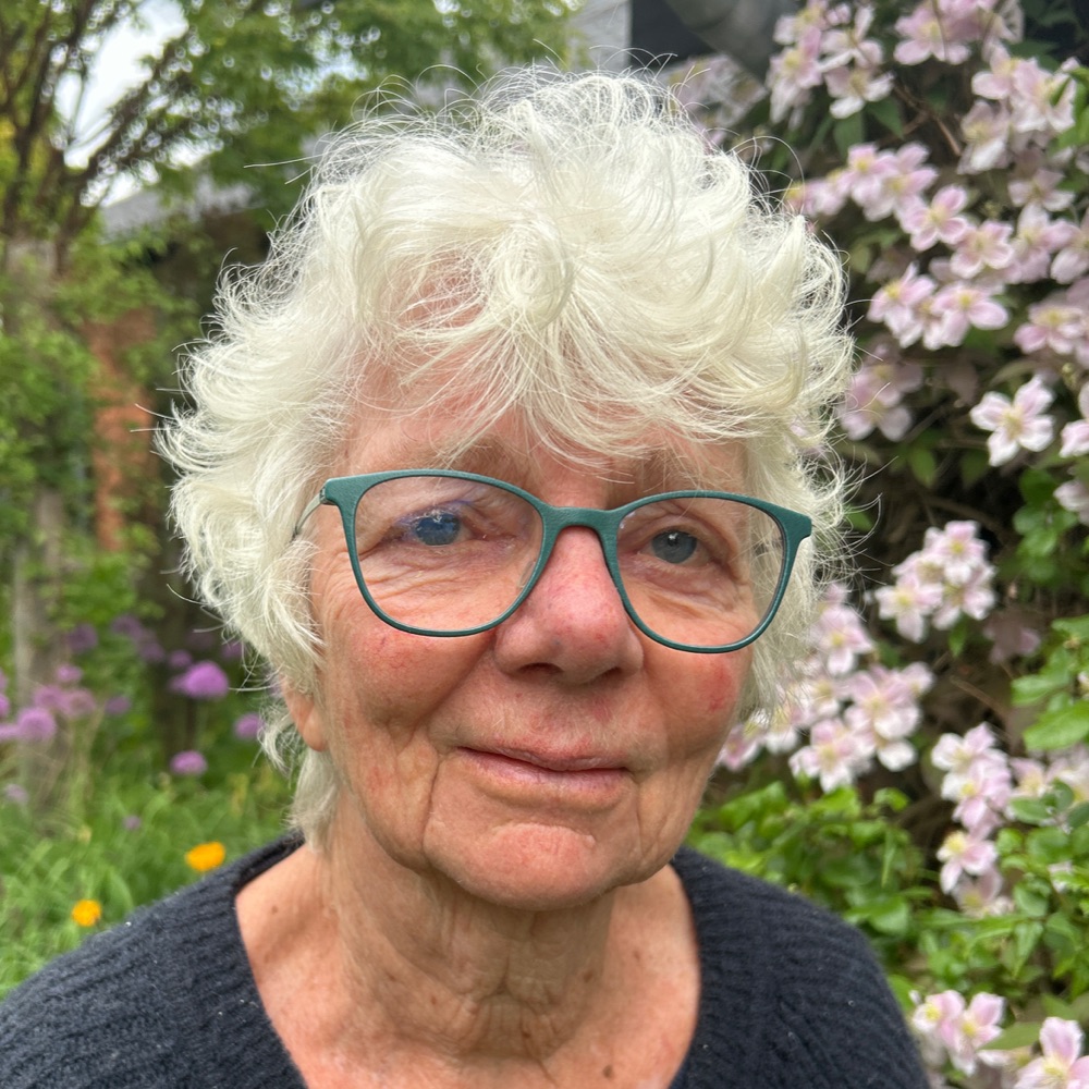 Nye venner 