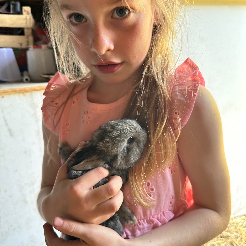 Reservebedsteforældre/ven søges