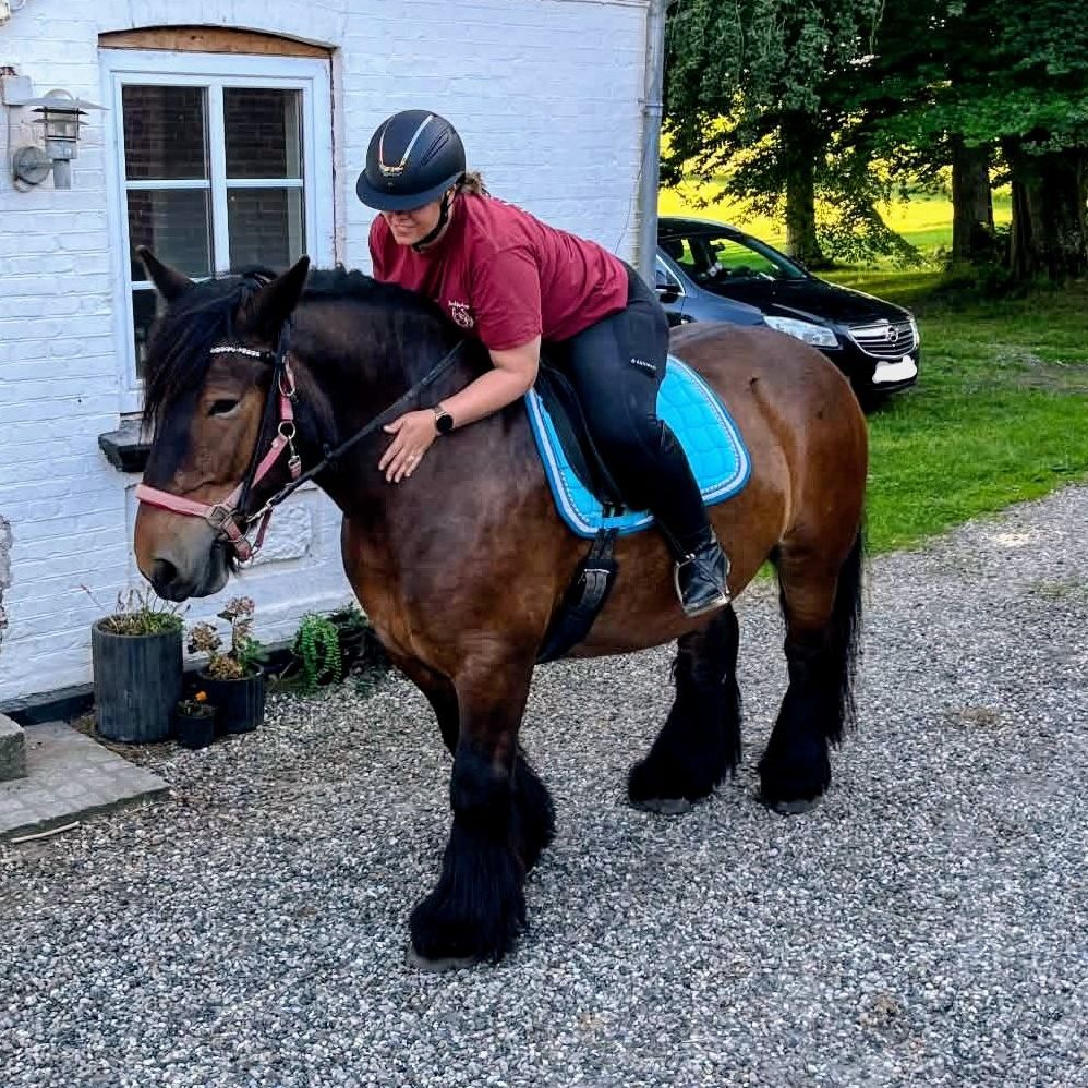 Søger en rideveninde 🐴