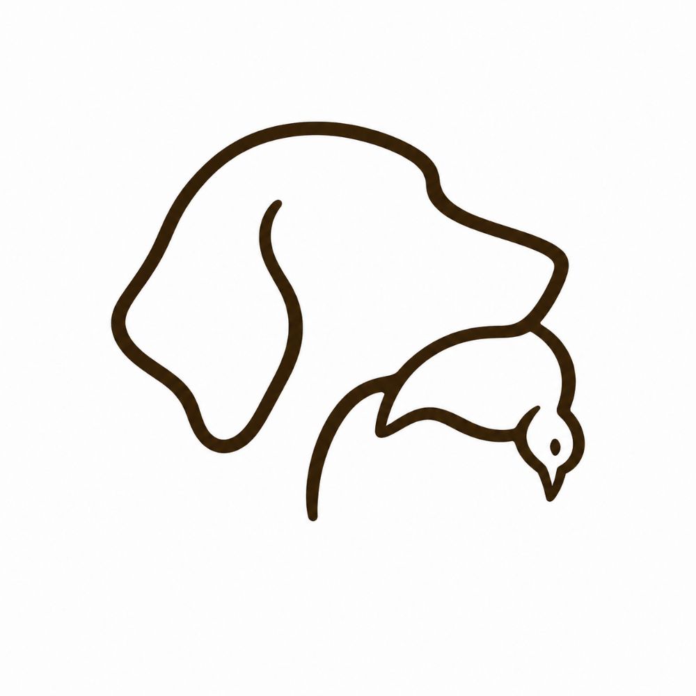 Stående jagthunde Slagelse & omegn 