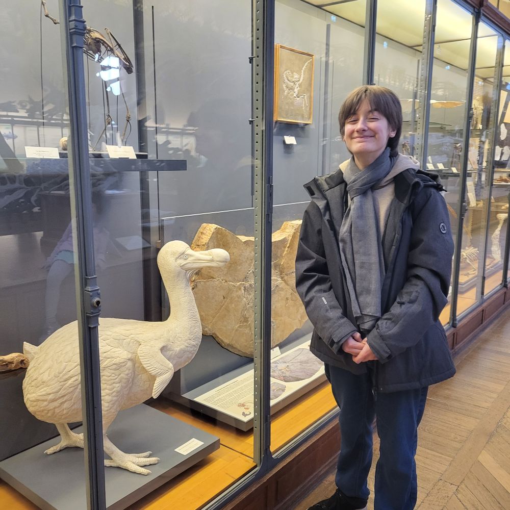 🪿 søger venner at nørde med
