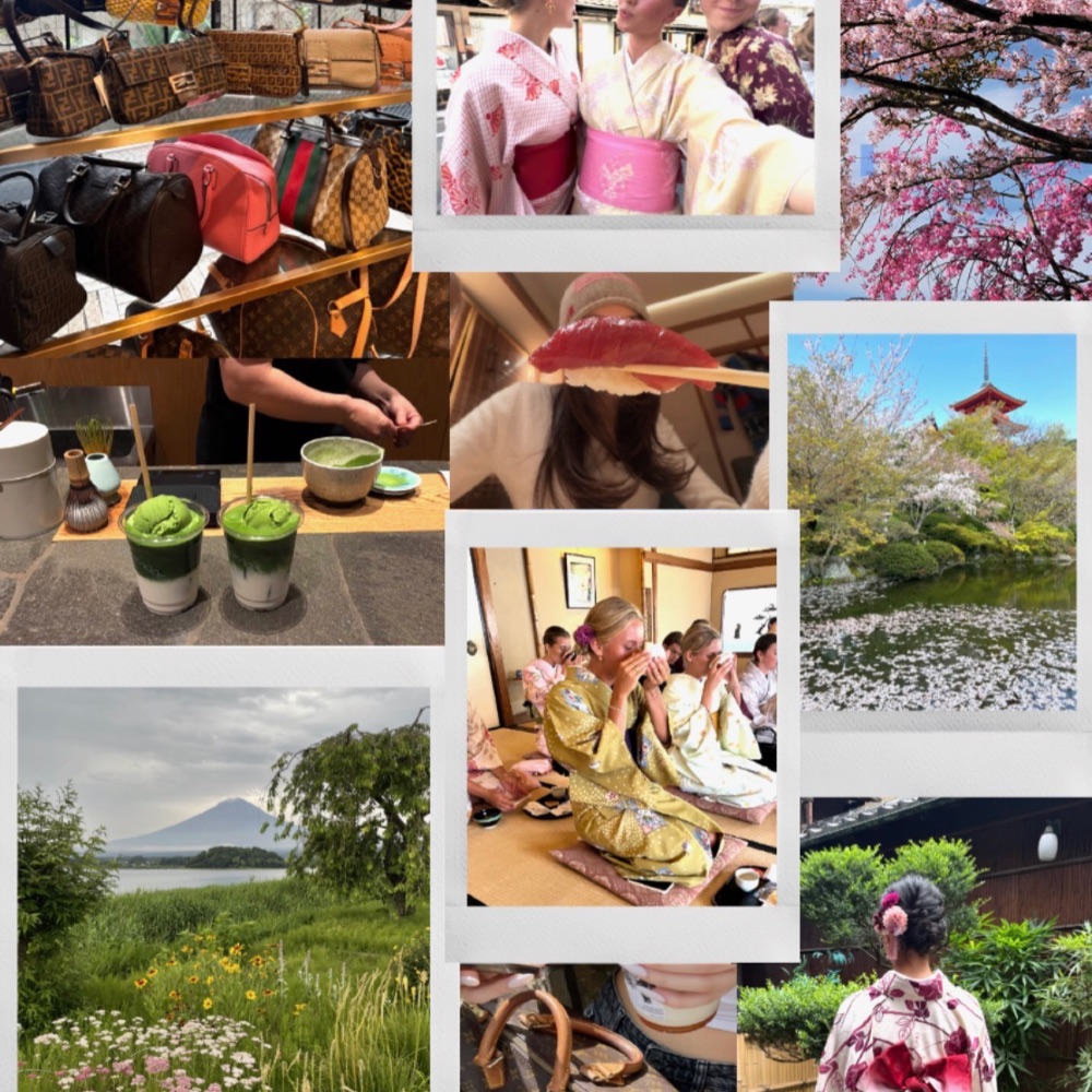 Rejsemakker søges - Japan 🌸🇯🇵