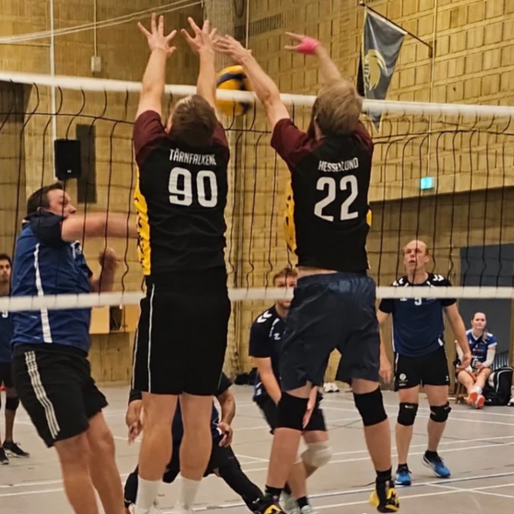 Volleyball